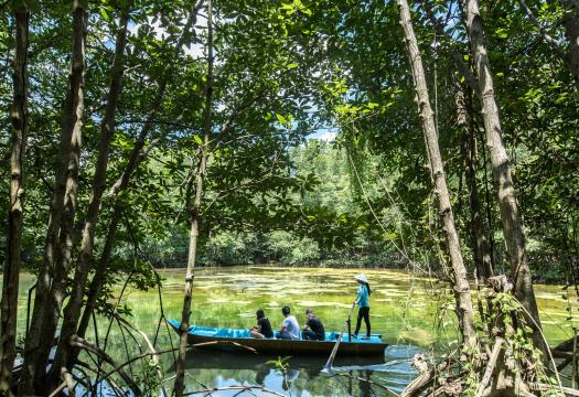 CAN GIO VAM SAT – MANGROVE FOREST