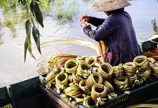 Mekong Delta- Phnom Penh by Waterways