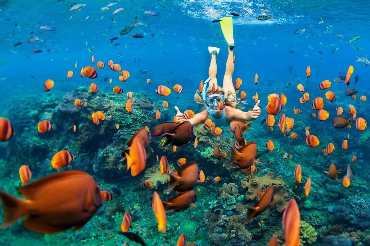 snorkeling among colorful coral reefs and tropical fish
