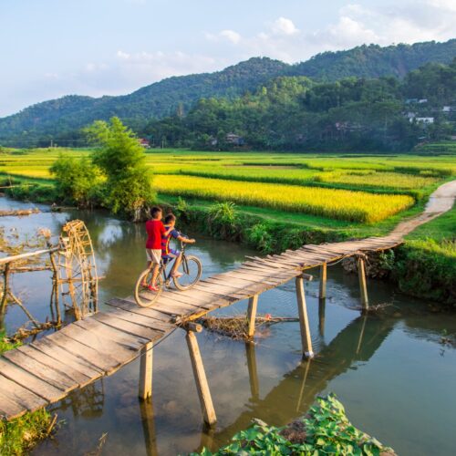 Local children cycling across a wooden bridge in Pu Luong, surrounded by rice paddies and rural landscapes.