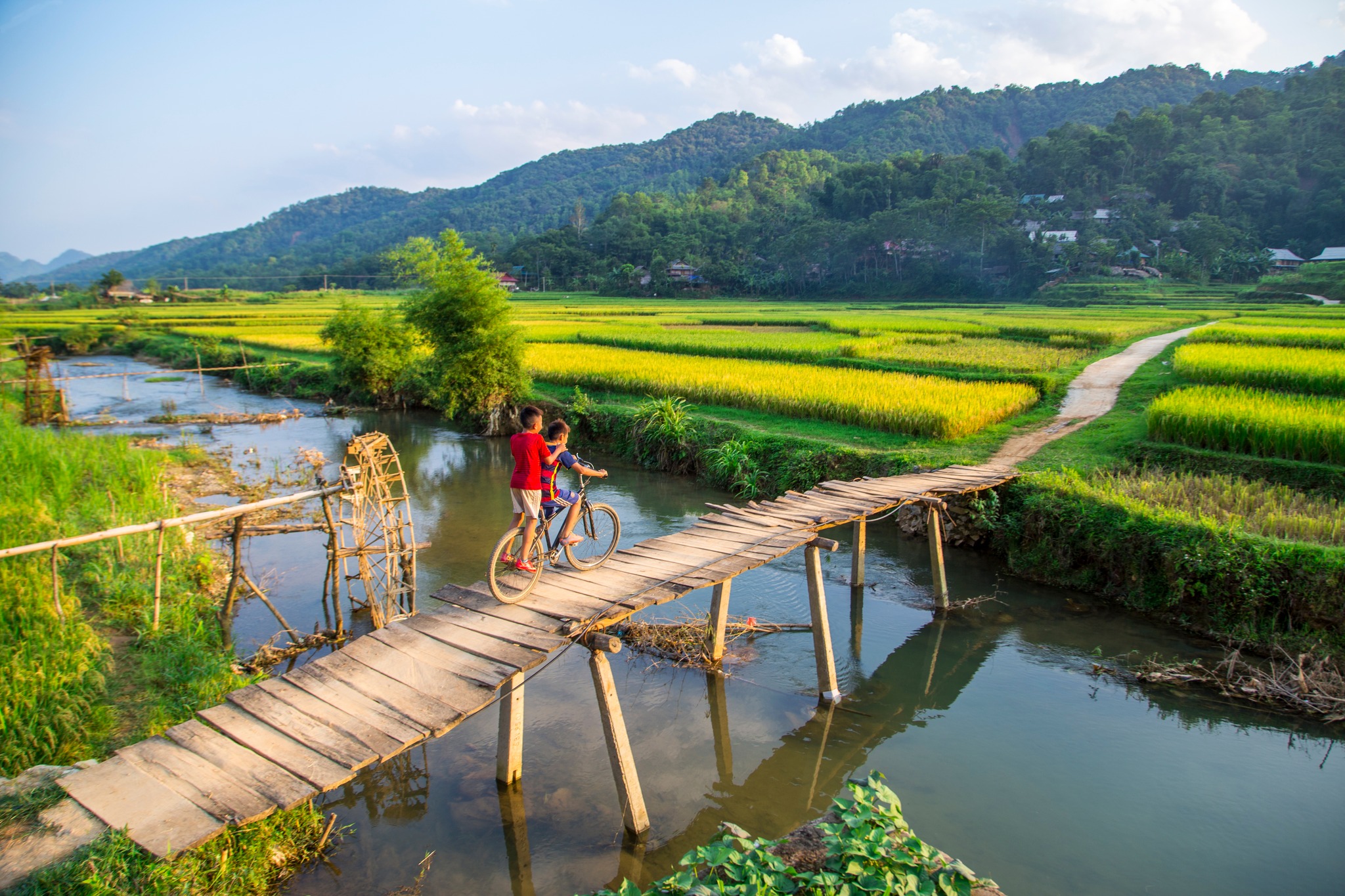 Local children cycling across a wooden bridge in Pu Luong, surrounded by rice paddies and rural landscapes.