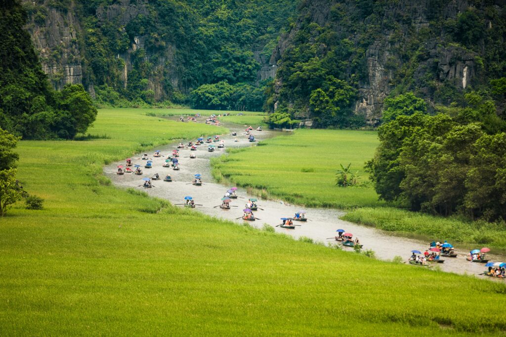 Many boats in Tam Coc, Ninh Binh, paddle along the river with rice fields on both sides.
