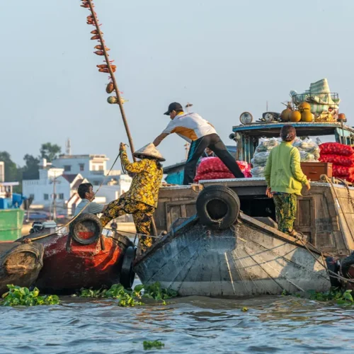 Local traders transferring goods between boats at Cai Rang floating market, Mekong Delta.