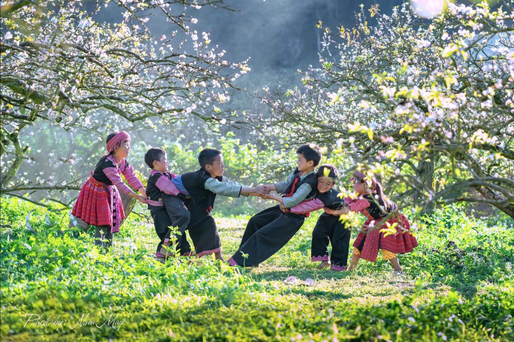 Local kids in traditional ethnic costumes are playing amidst a landscape of blooming white bauhinia flowers.