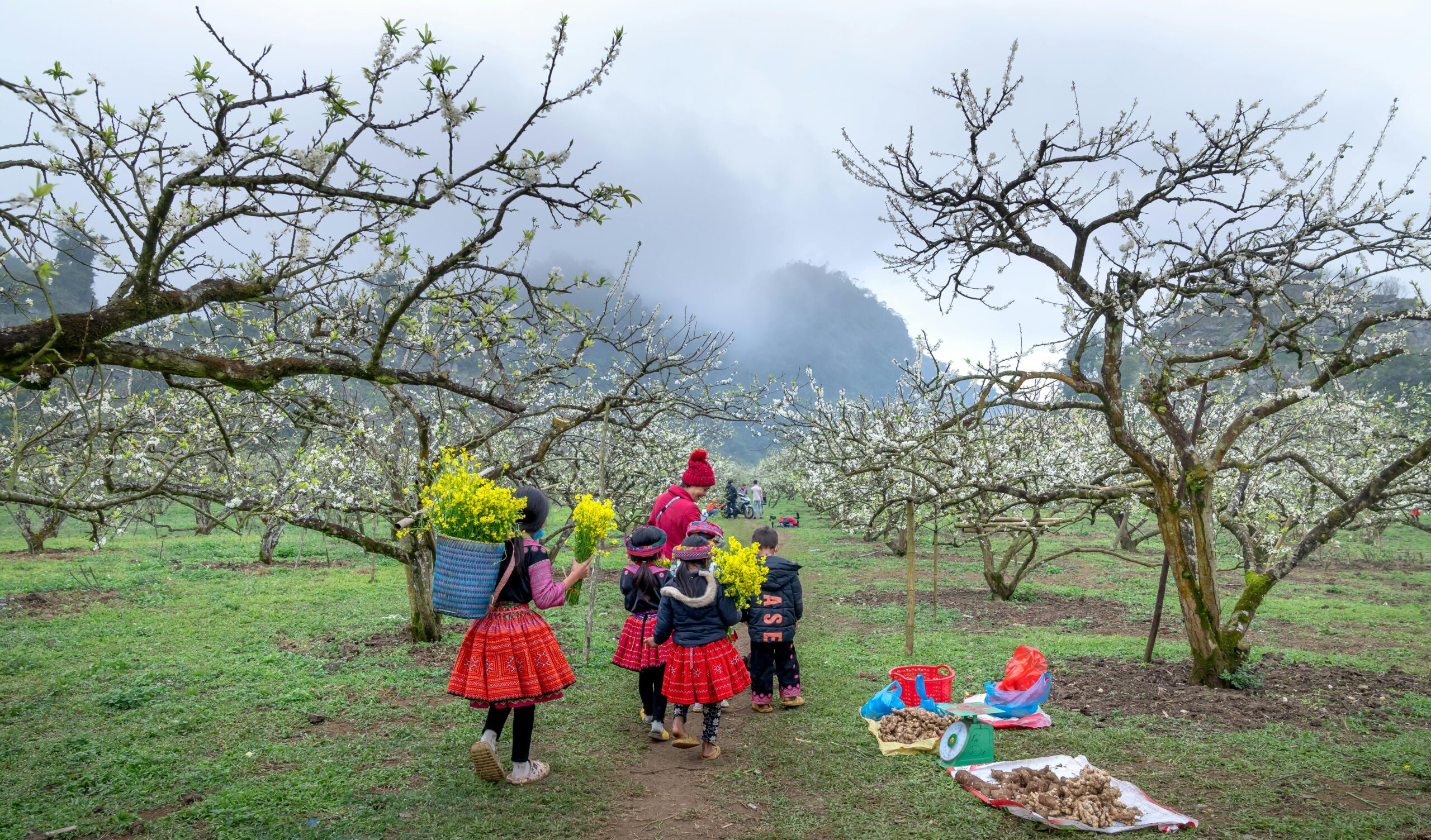 Local kid in Mai Chau