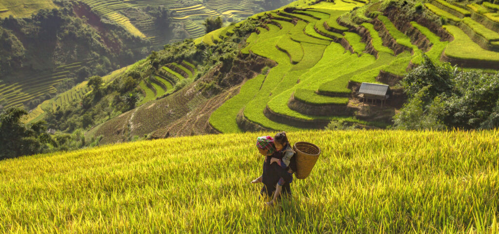 Ethnic woman carrying a kid in traditional clothing, with terraced rice fields in the background.