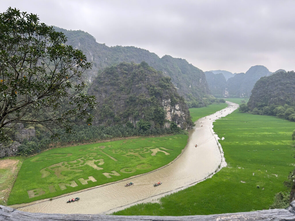 rowing boat through ninh binh's rice field landscape in tam coc
