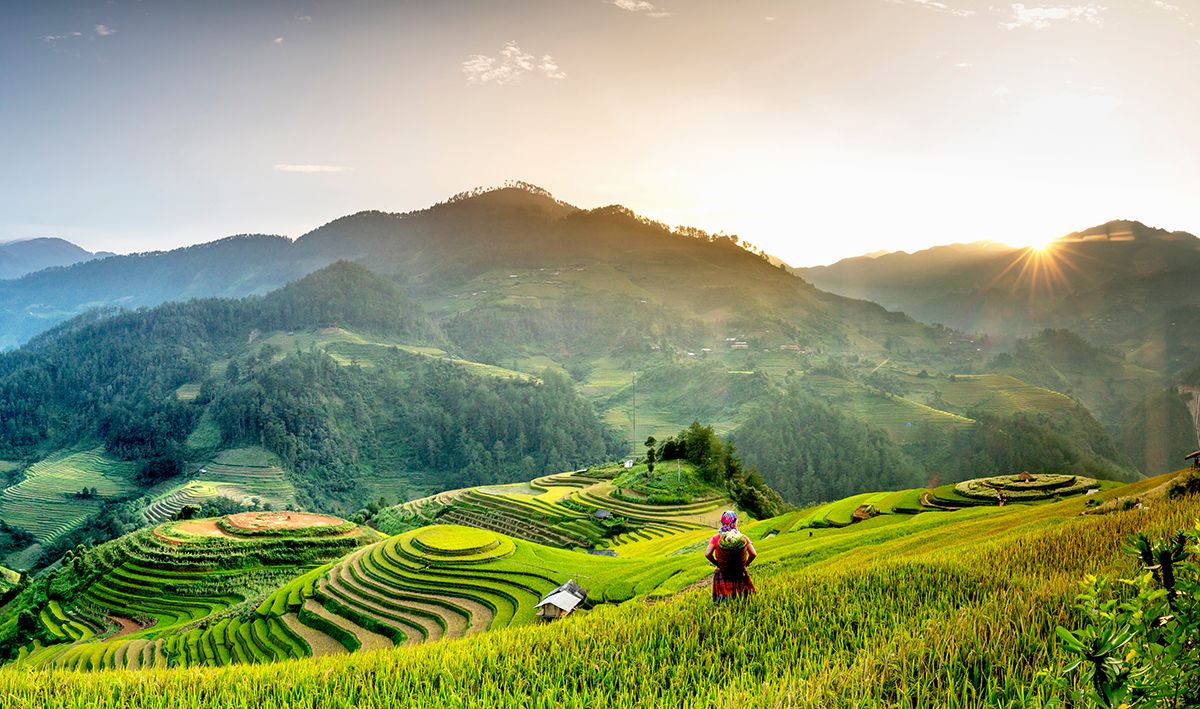 A woman from an ethnic minority group, dressed in traditional attire, stands before a magnificent terraced rice field landscape, one of the highlight scenes in the northern mountainous region of Vietnam.